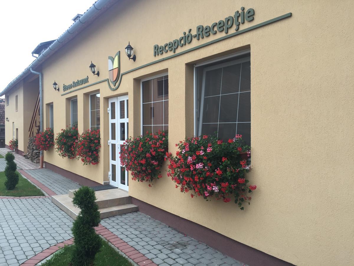 Gyongyvirag Panzio Bed & Breakfast Turia Luaran gambar